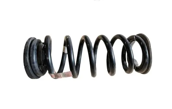 Ford Edge II Rear coil spring F2GC5560AND