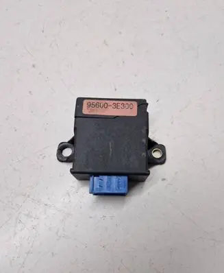 KIA Sorento Other control units/modules 956003E300