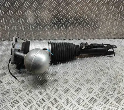 Volkswagen Phaeton Shock absorber/damper/air suspension 3D0616002G
