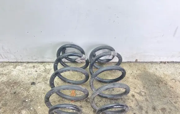 Rear coil spring