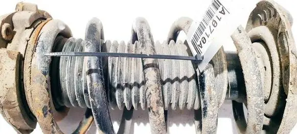 Volkswagen Tiguan Front coil spring 