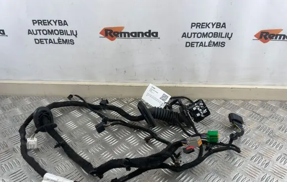 Ford Ecosport Front door wiring loom CN1514631