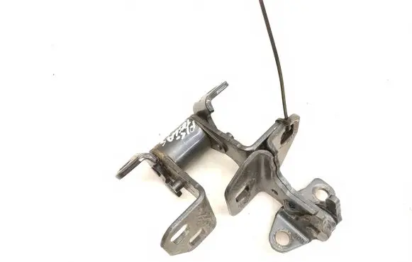 Tesla Model S Front door hinges set I120038