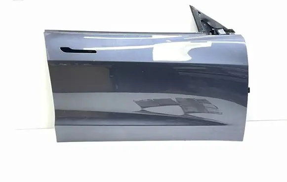 Tesla Model 3 Front door 