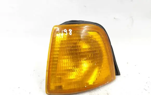 Front fender indicator light