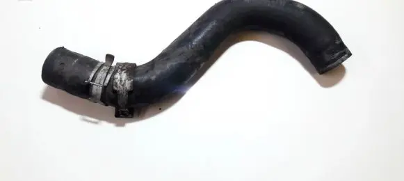 Honda Accord Engine coolant pipe/hose