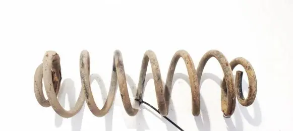Rear coil spring