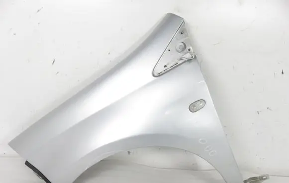 Fiat Bravo Fender 
