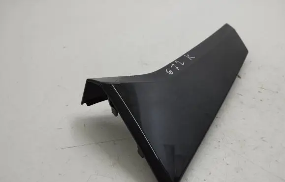 Rear/tail light trim molding