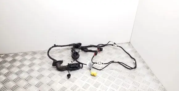 Audi A5 8T 8F Front door wiring loom 8F0971030AQ