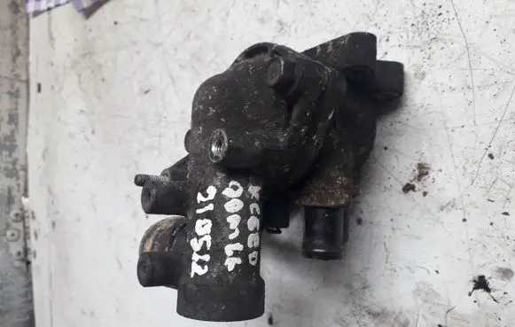 Thermostat/thermostat housing