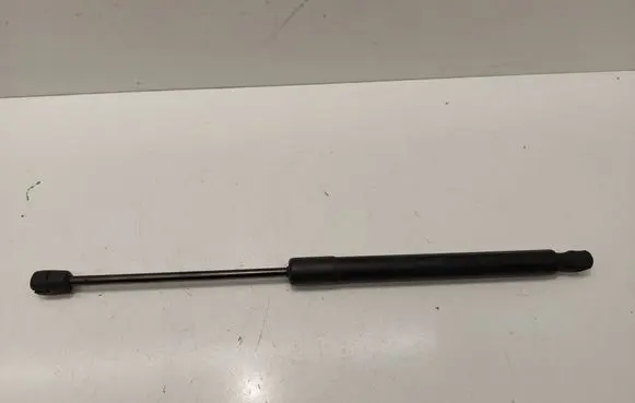 Tailgate/trunk strut/damper