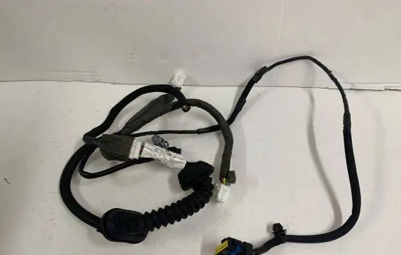 Rear door wiring loom