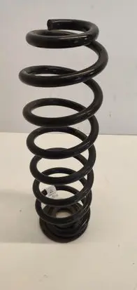 Rear coil spring
