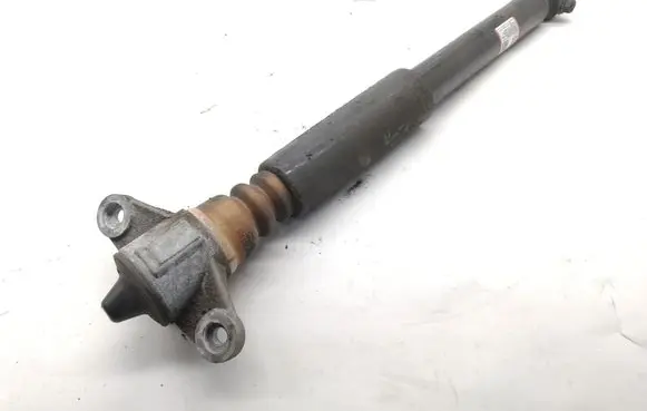 Hyundai Kona I Rear shock absorber/damper 55300DD000