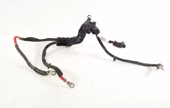 Other wiring loom