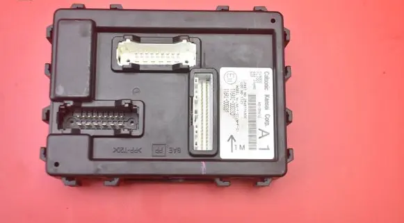 Nissan Juke I F15 Comfort/convenience module 116RAI-000280