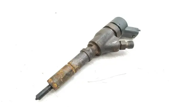 Citroen Xsara Picasso Fuel injector 0445110044 9637536080