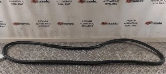 Audi A6 S6 C7 4G Front door rubber seal 