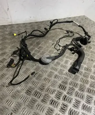Audi A8 S8 D4 4H Front door wiring loom 4H0971029GS TAB010766SF 4H0971029BS