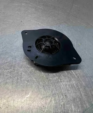 Panel speaker