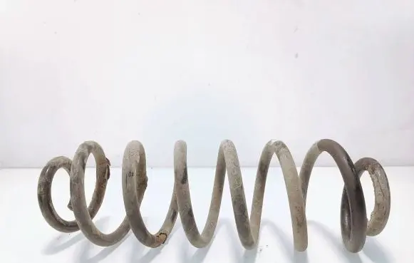 Volkswagen PASSAT B6 Rear coil spring