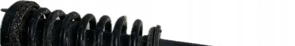 Ford F150 Front shock absorber/damper 