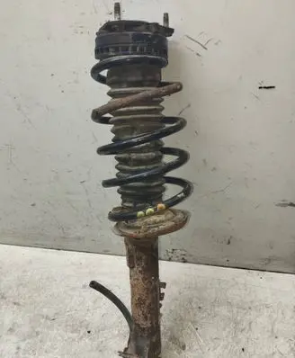 Ford Fusion Front shock absorber with coil spring