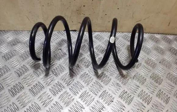 Front coil spring