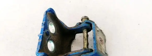 Peugeot 307 Rear door lower hinge 