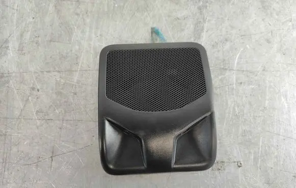 Tesla Model S Headliner speaker 101378600A
