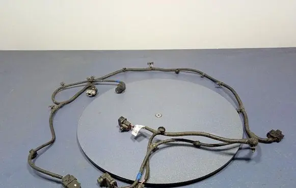 Other wiring loom