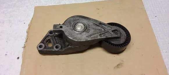 Volkswagen Transporter - Caravelle T5 Generator/alternator belt tensioner 950372