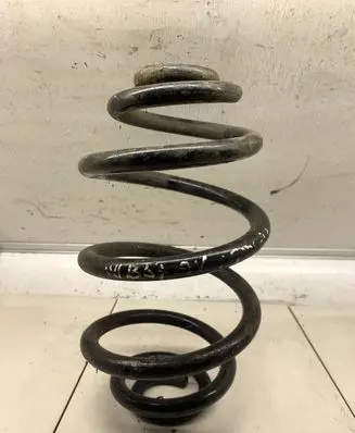 Volkswagen PASSAT B5.5 Rear coil spring