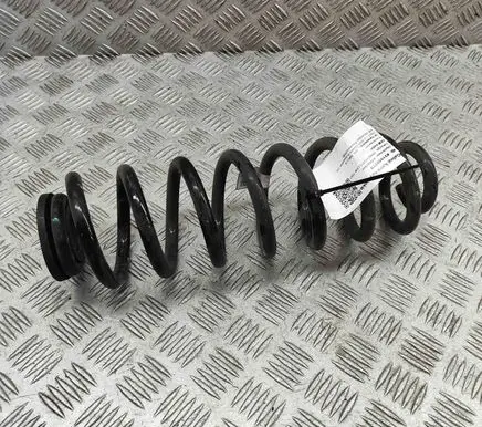 KIA Niro Rear coil spring 55330A0200
