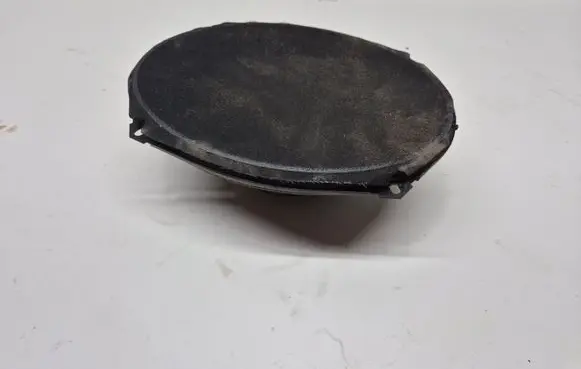 Chrysler Town & Country V Rear door speaker 05081669AC