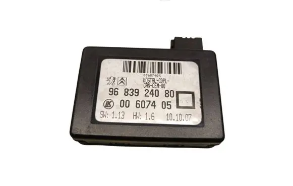 Peugeot 207 Rain sensor 9683924080 00607405