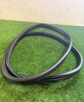 KIA EV6 Rubber seal rear door