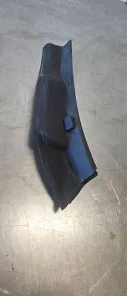 Rear/tail light trim molding