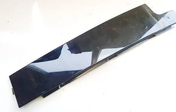 Renault Austral Other rear door trim element 822831252R