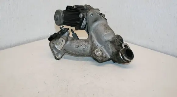 Nissan Note (E12) EGR valve 5079750300 170741R 0281006108