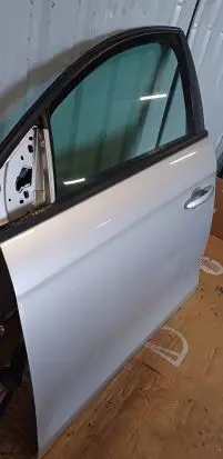 Fiat Bravo Front door