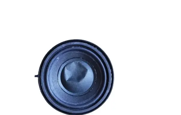 BMW X3 F25 Front door high frequency speaker