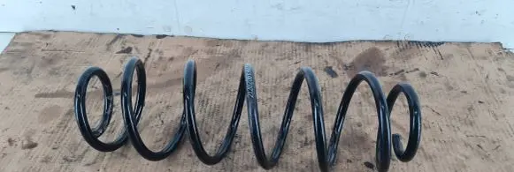 Renault Laguna II Rear coil spring 21202082321