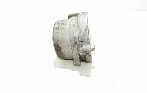 Hyundai Santa Fe Alternator belt tensioner 32000044