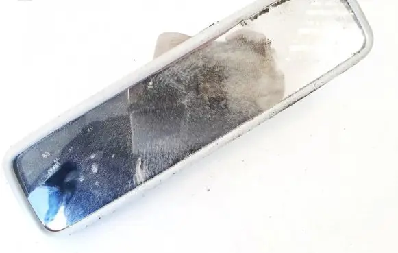 Volkswagen Golf IV Rear view mirror (interior) e10110093