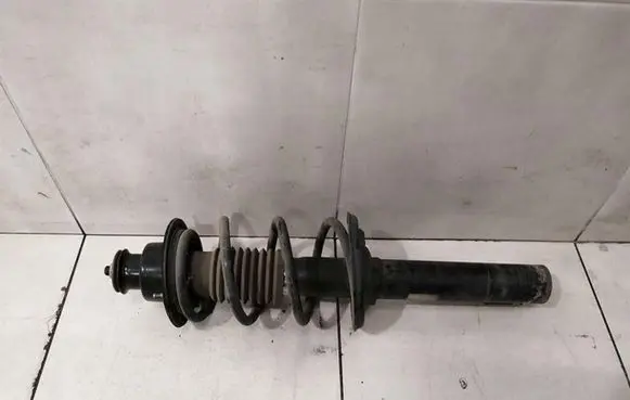 Porsche Boxster 987 Rear shock absorber with coil spring 98733305114
