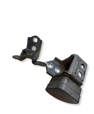 Renault Megane II Rear door lower hinge 7456