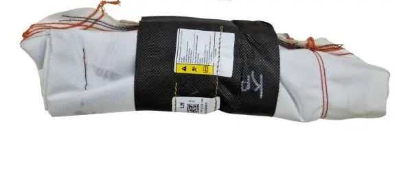 Ford C-MAX II Seat airbag DM51611D11 DM51611D11AA UCJ55C02AFP