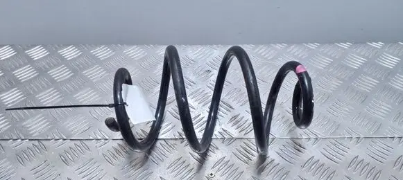 Nissan Pulsar Rear coil spring